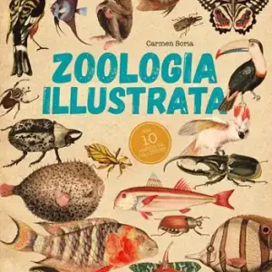 Zoologia illustrata. Con 10 poster Exclusieve Aanbieding