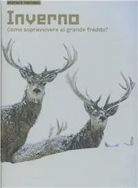 Aanbieding Inverno. Come sopravvivere al grande freddo? Ediz. illustrata