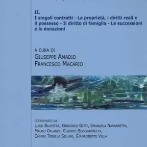 Diritto civile. Norme, questioni, concetti. Vol. 2 I singoli, contratti. La proprietà, i diritti reali e il possesso. Il diritto di famiglia. Le successioni e le donazioni. Snelle Levering