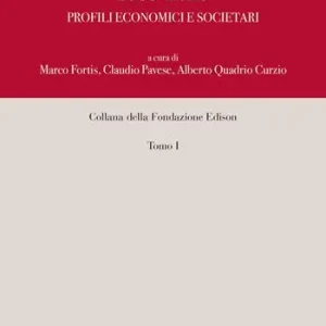 Il gruppo Edison 1883-2023. Profili economici e societari. Nuova ediz. Betrouwbaar