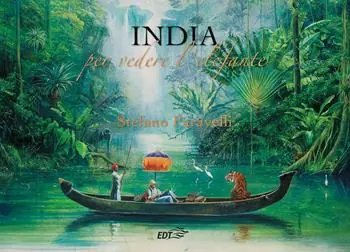 India. Per vedere l‘elefante Alleen Vandaag