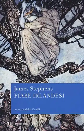 Fiabe irlandesi Goedkoop