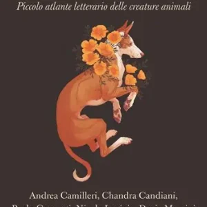Animalia. Piccolo atlante delle creature animali Nieuw