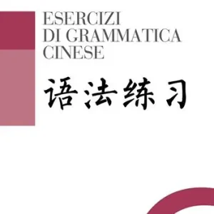 Beste Prijs Esercizi di grammatica cinese