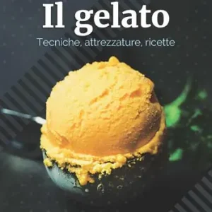 Direct Beschikbaar Il gelato. Tecniche, attrezzature, ricette