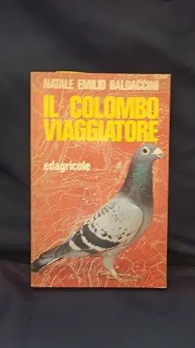 Bestel Nu Il colombo viaggiatore