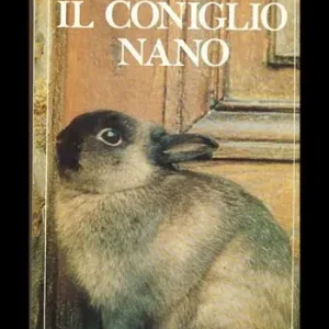 Il coniglio nano Exclusieve Aanbieding