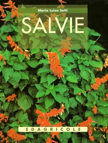 Must-Have Salvie