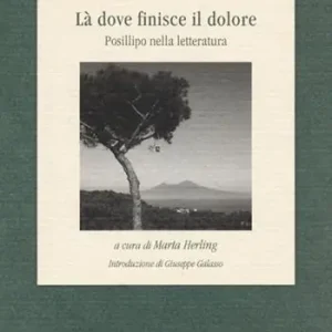Voordeelprijs Là dove finisce il dolore. Posillipo nella letteratura