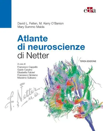 Atlante di neuroscienze di Netter Flitsaanbieding