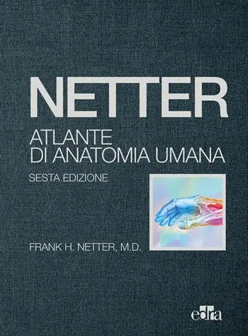 Netter. Atlante di anatomia umana Laatste Kans