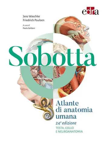 Bestel Nu Sobotta. Atlante di anatomia umana. Testa, collo e neuroanatomia