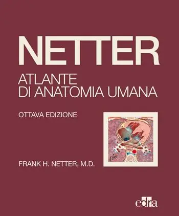 Merkproduct Netter. Atlante di anatomia umana